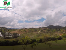 Load image into Gallery viewer, Colombian green coffee plantation