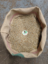 Load image into Gallery viewer, Brazilian Fazenda Das Alma's Estate Green Unroasted
